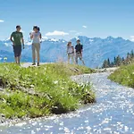 Faucon 1b By Interhome Appartement Crans-Montana