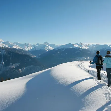 Faucon 1b By Interhome Vermala