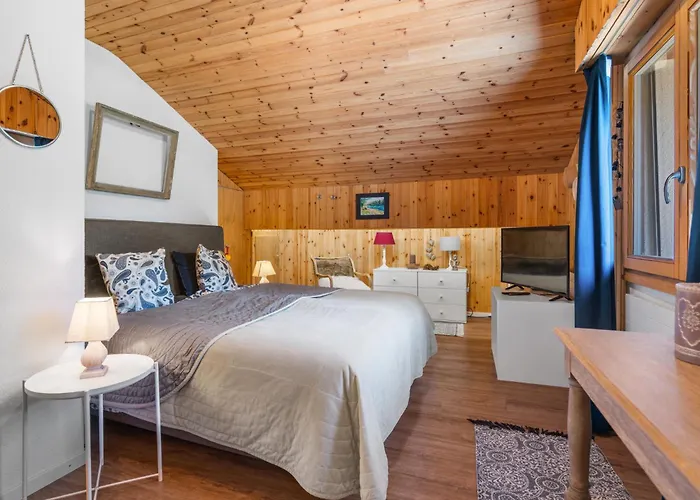 Faucon 1b By Interhome * 克莱恩 蒙塔纳